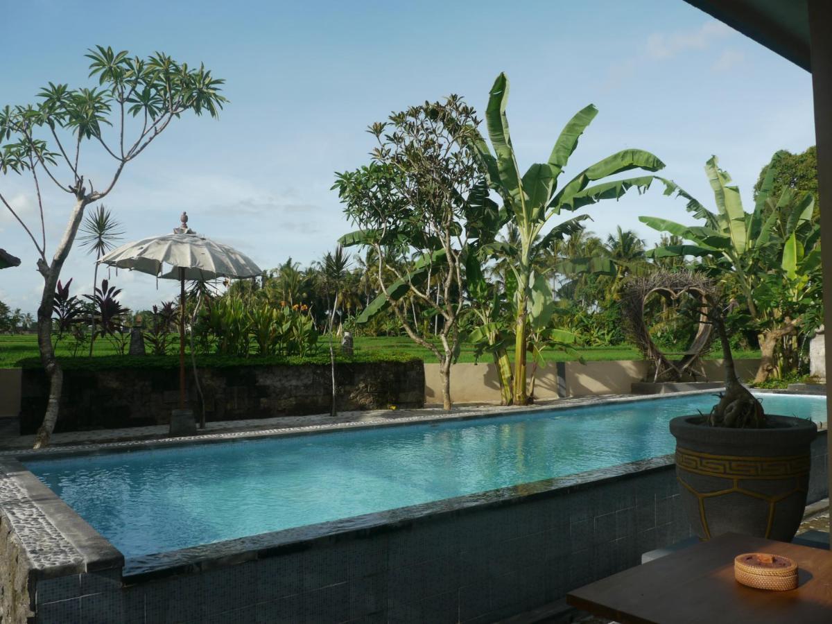 Asri Sari Ubud Villa & Resort Убуд Екстер'єр фото