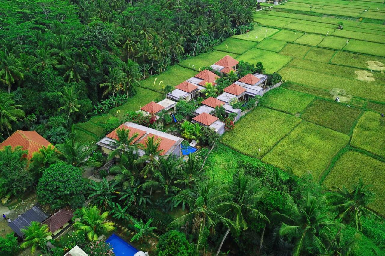 Asri Sari Ubud Villa & Resort Убуд Екстер'єр фото